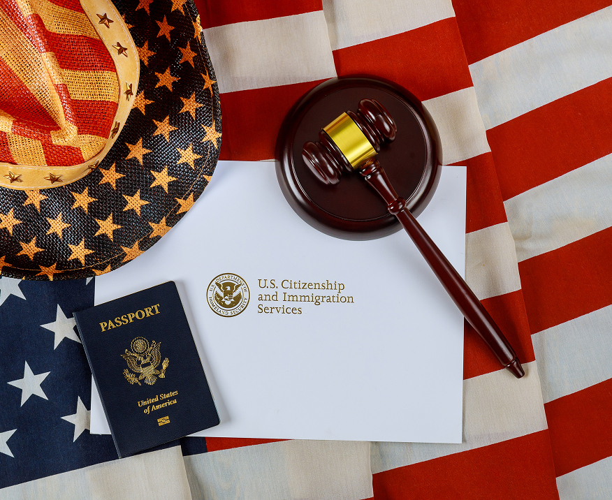 Immigration Law Services